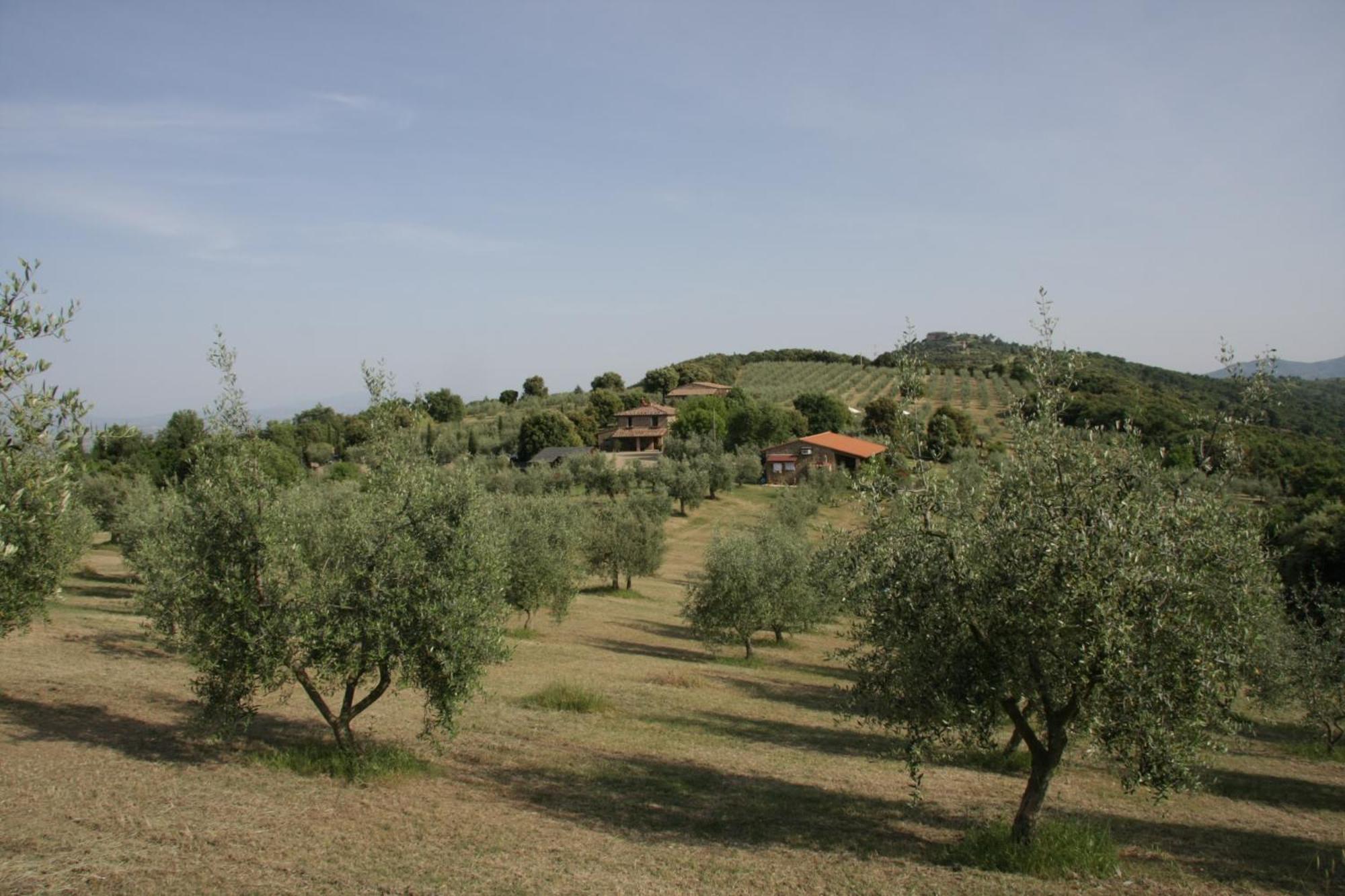 The Country House Montali Tavernelle  Exterior foto